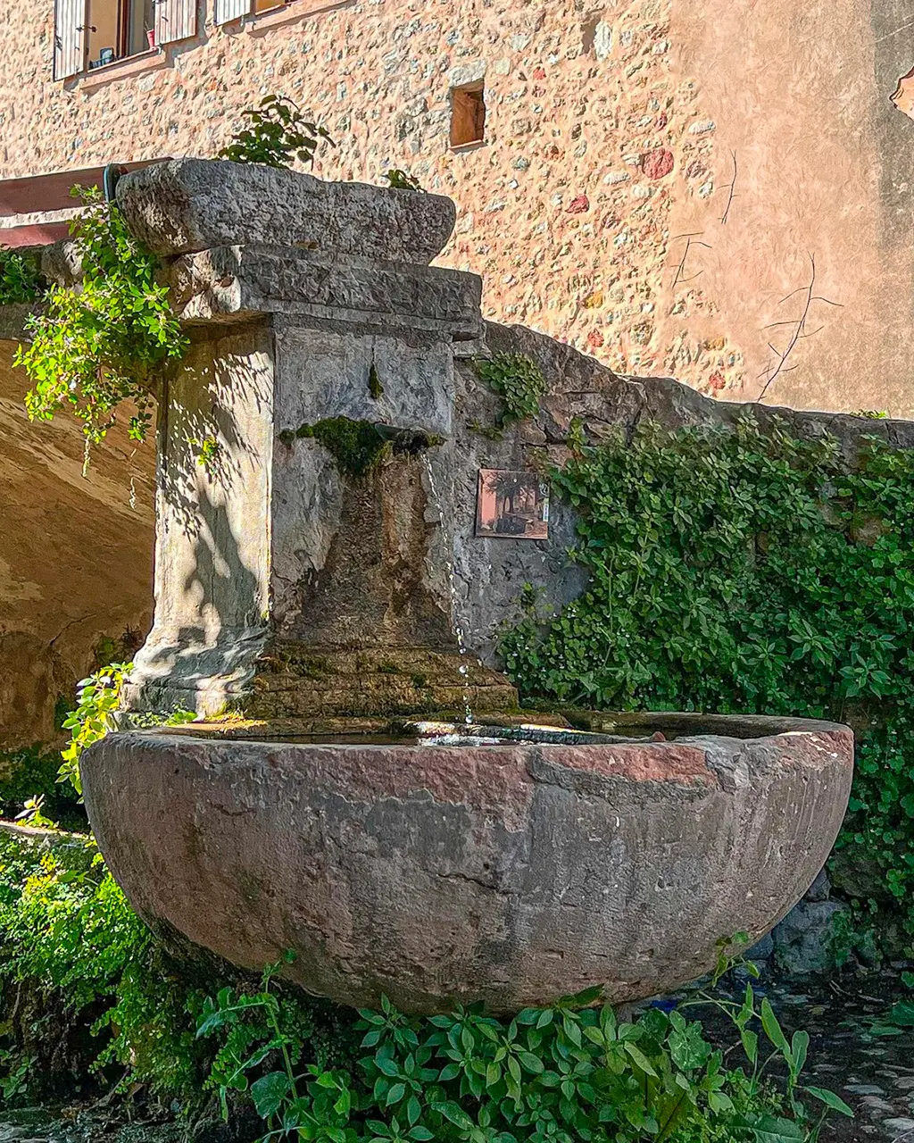 Une fontaine de Flayosc entourée de feuillages.
