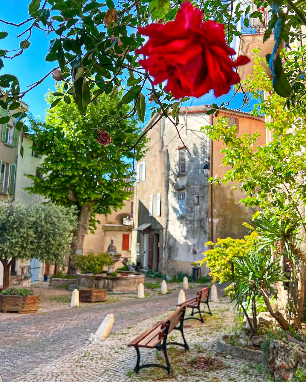 Une ruelle paisible de Flayosc avec des roses grimpantes.