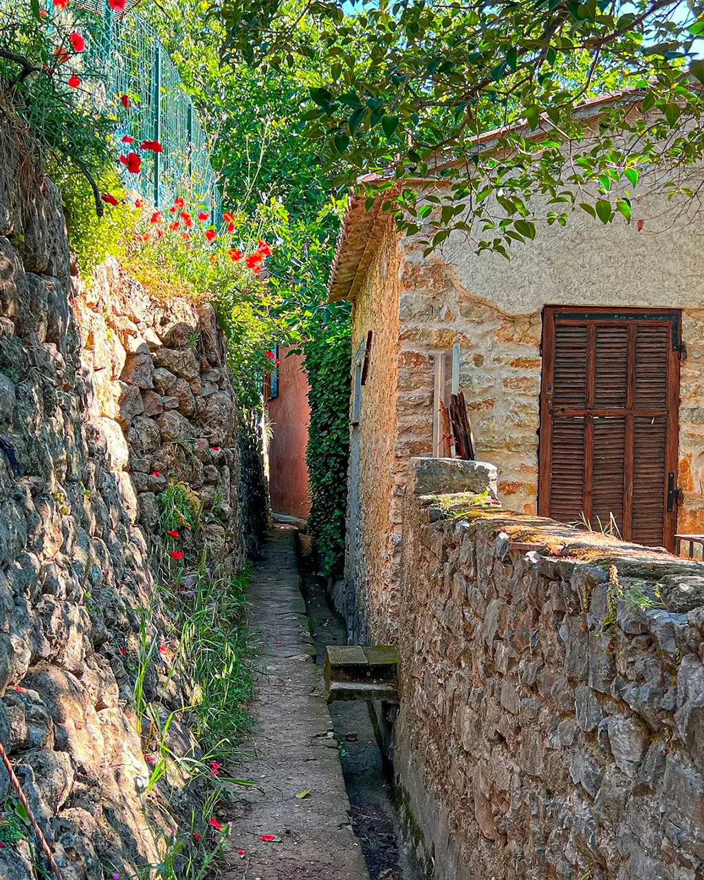 Une petite ruelle de Flayosc menant à une fontaine ombragée.