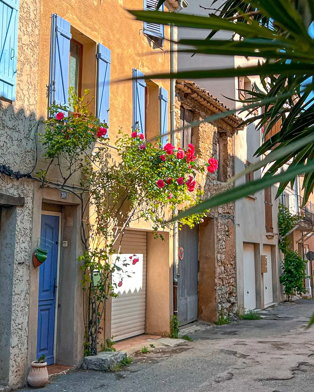 Une ruelle fleurie de Flayosc, baignée par la lumière du matin